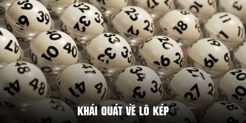 Tìm hiểu về khái niệm lô kép chi tiết nhất