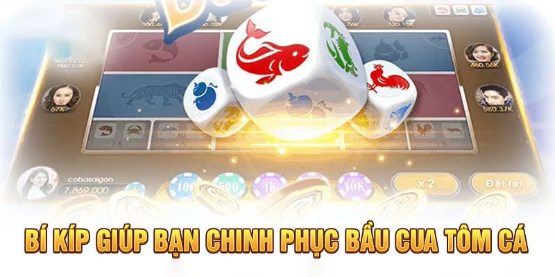 Chiến thuật đặt cược game bầu bua từ cao thủ