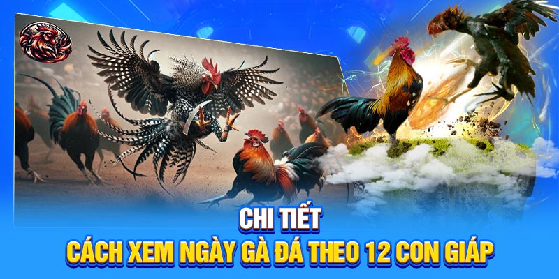 Chi tiết cách xem ngày gà đá theo 12 con giáp