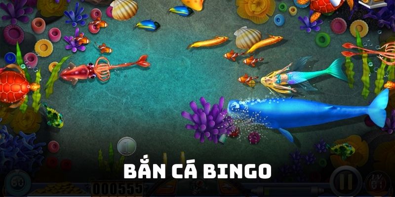 bắn cá bingo tại 123b