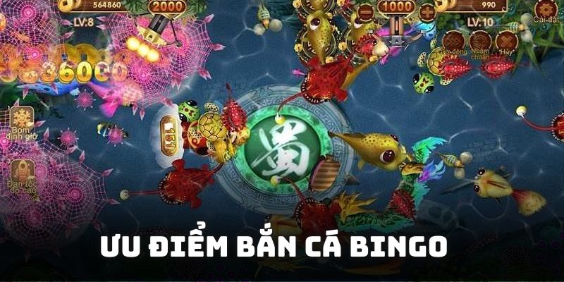 Chia sẻ những tính năng ưu việt nổi trội của săn thưởng Bingo